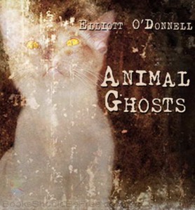 Animal-Ghosts