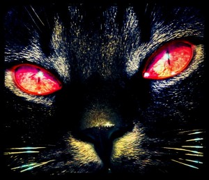 Interpretación Demon Cat