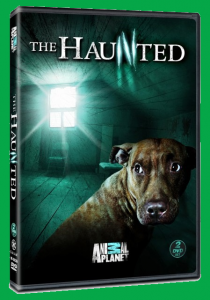 The Haunted