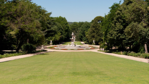 Campo del Moro desde Palacio Real.