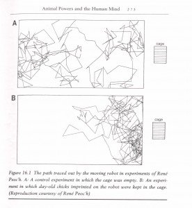 Gráficos de desplazamiento.