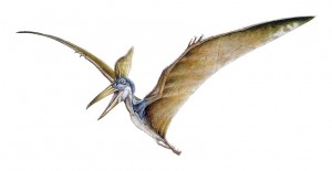 Pterosaurio.