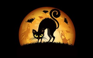 Halloween Cat.