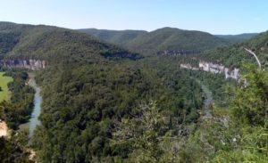 Bosques en Piney Flats.